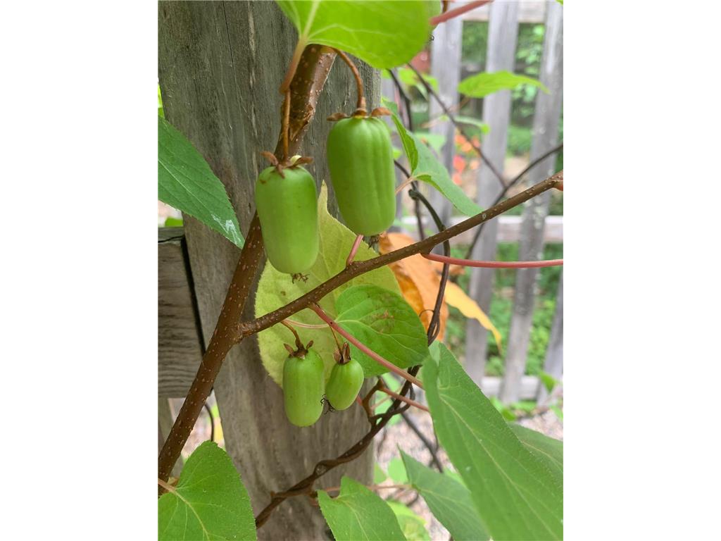 8639 S Strand Lake Road Cotton MN 55724 - Strand 6693303 image46