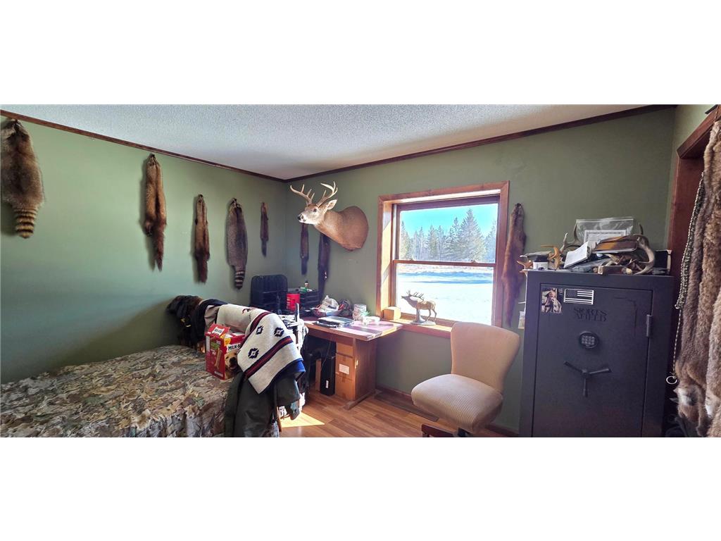 8640 State Highway 11 SE South Koochiching Unorg. Terr. MN 56623 7042402 image10