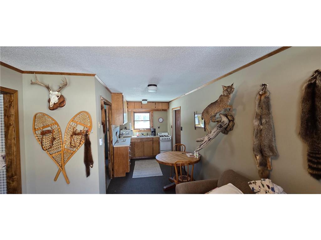 8640 State Highway 11 SE South Koochiching Unorg. Terr. MN 56623 7042402 image14