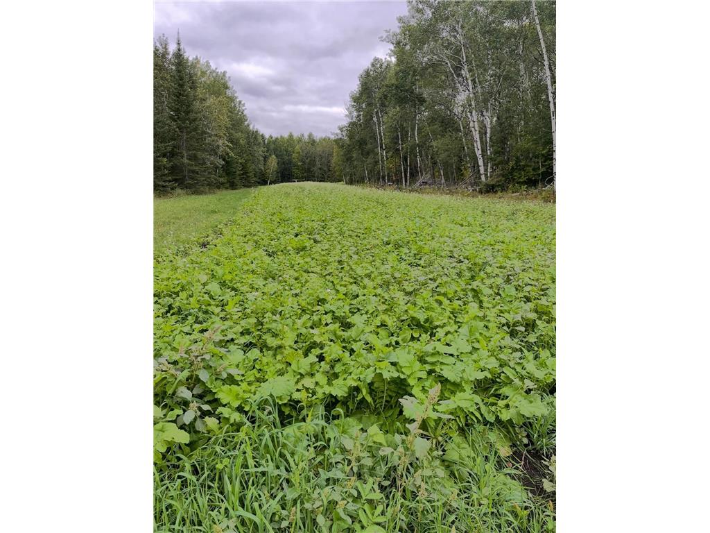 8640 State Highway 11 SE South Koochiching Unorg. Terr. MN 56623 7042402 image39