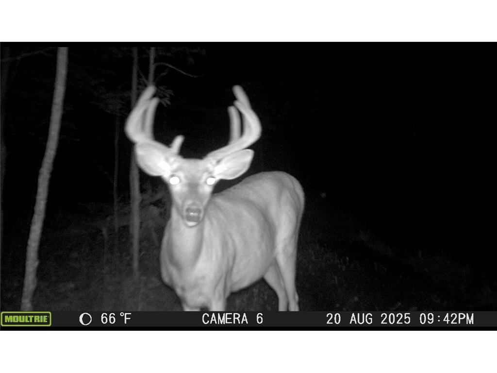 8640 State Highway 11 SE South Koochiching Unorg. Terr. MN 56623 7042402 image41