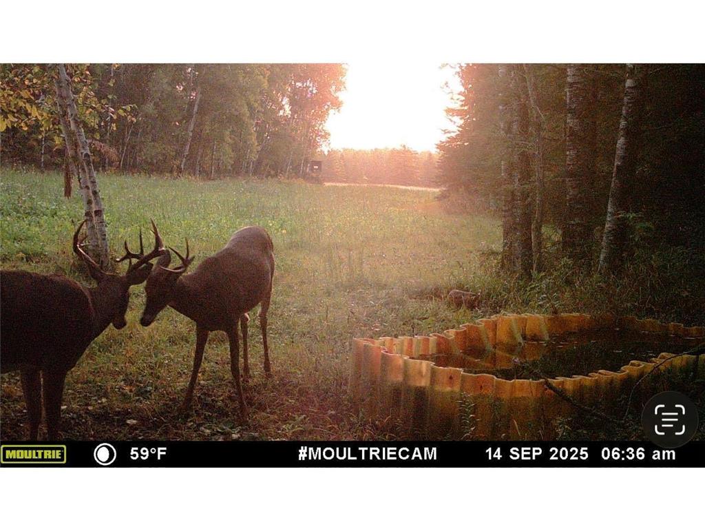 8640 State Highway 11 SE South Koochiching Unorg. Terr. MN 56623 7042402 image42
