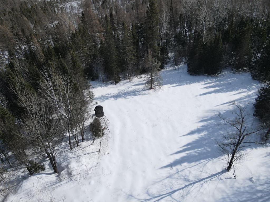 86469 Nature Road Butternut WI 54514 6671677 image10