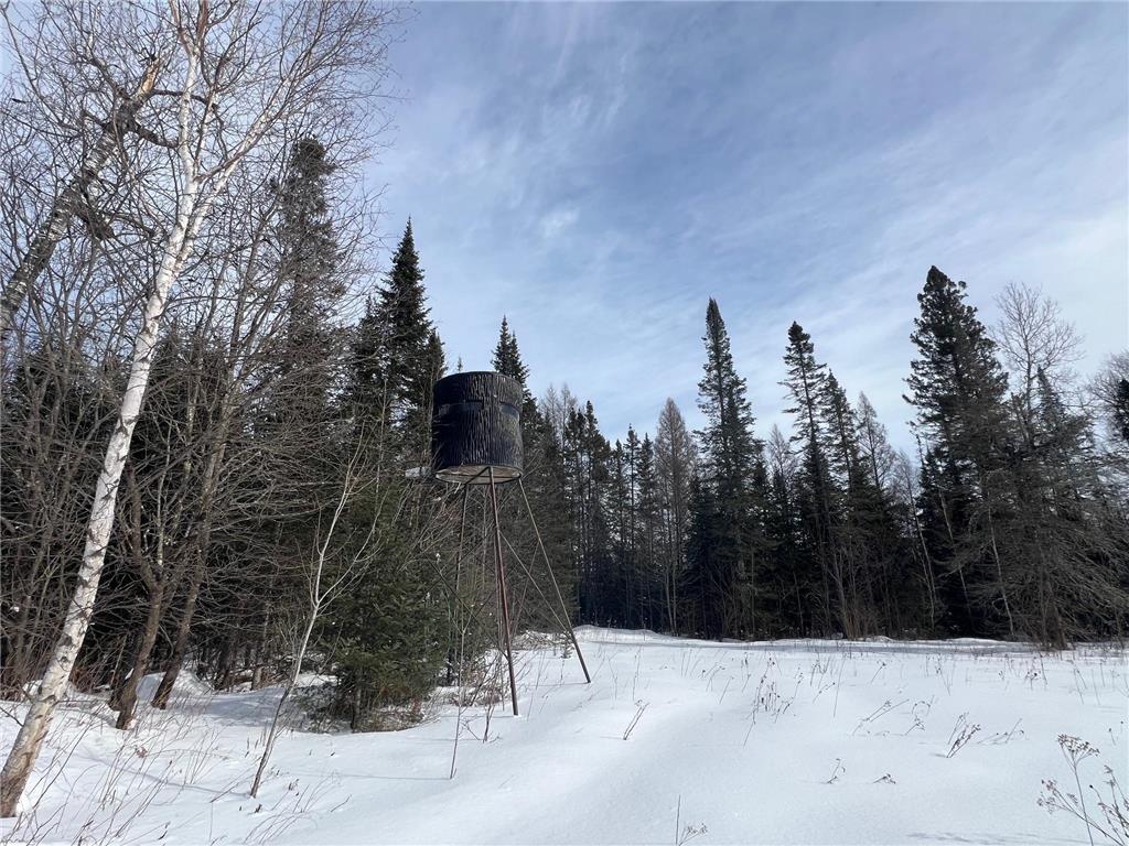 86469 Nature Road Butternut WI 54514 6671677 image11