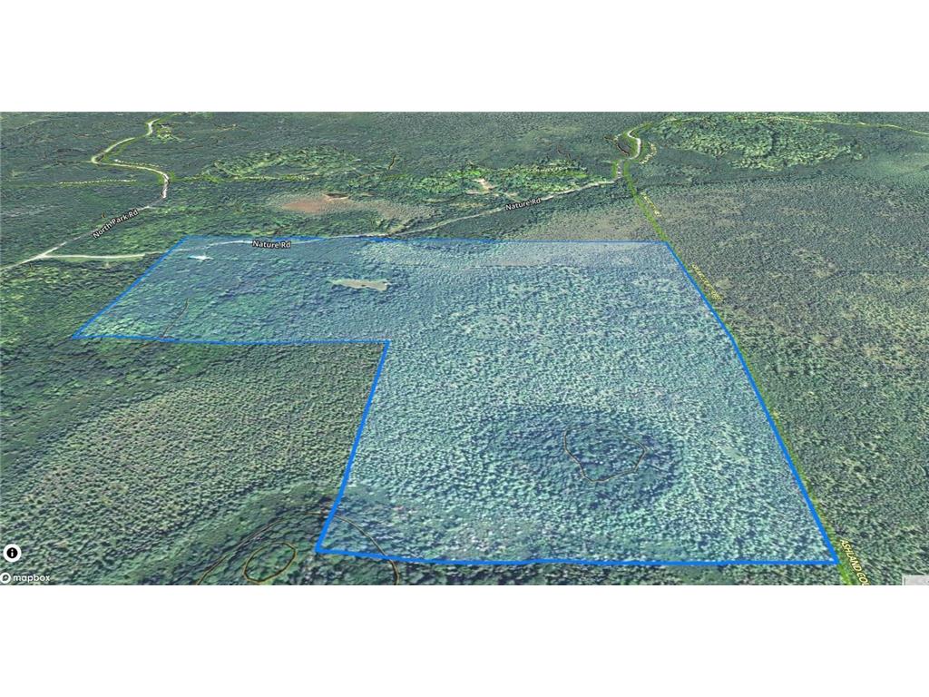 86469 Nature Road Butternut WI 54514 6671677 image14