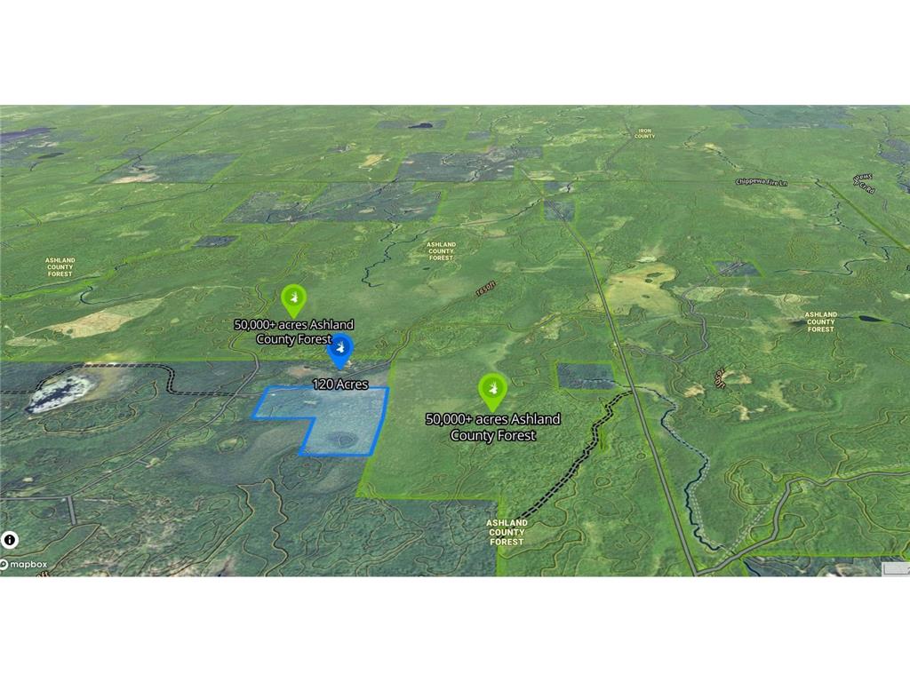 86469 Nature Road Butternut WI 54514 6671677 image18