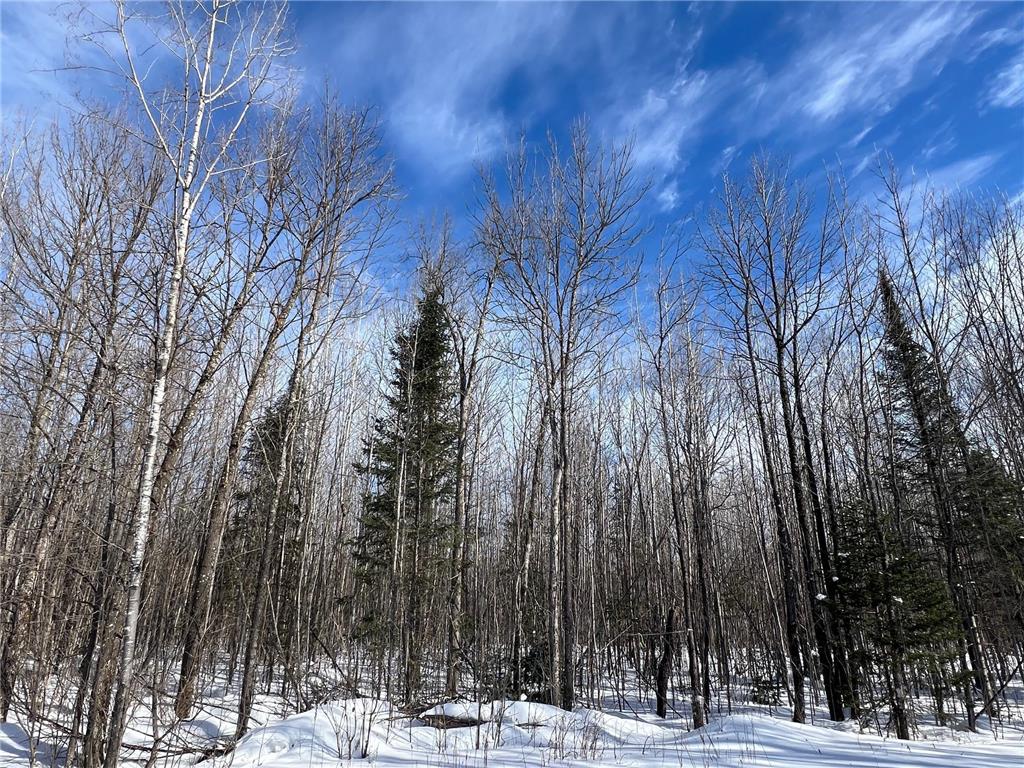 86469 Nature Road Butternut WI 54514 6671677 image19