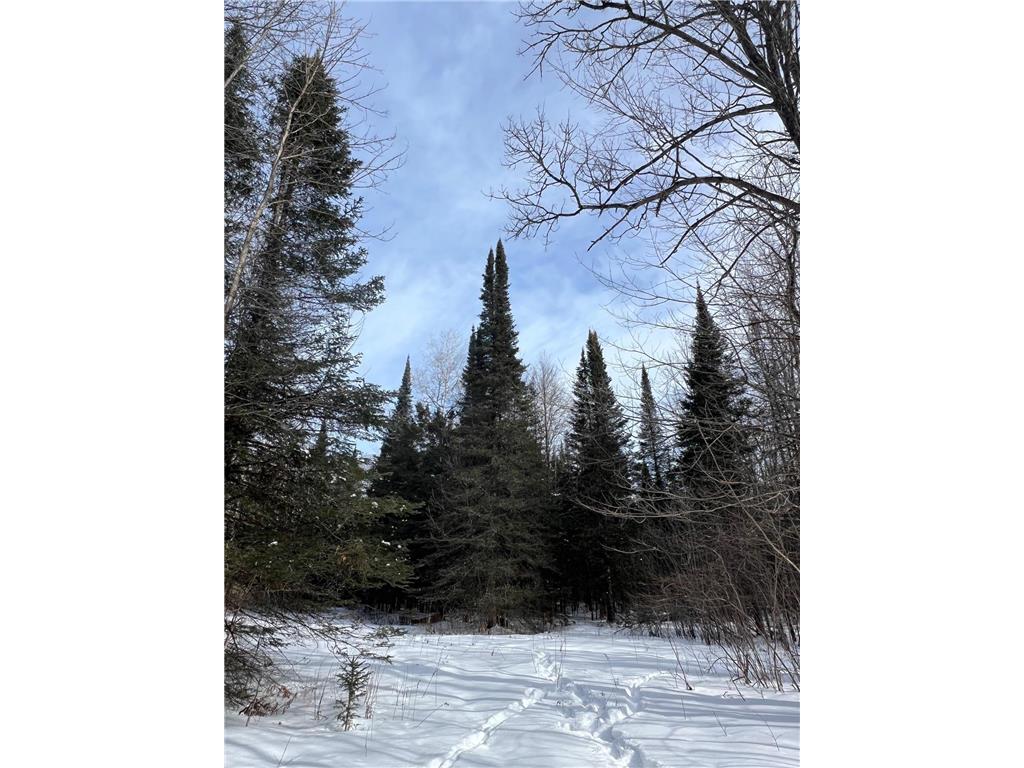 86469 Nature Road Butternut WI 54514 6671677 image20