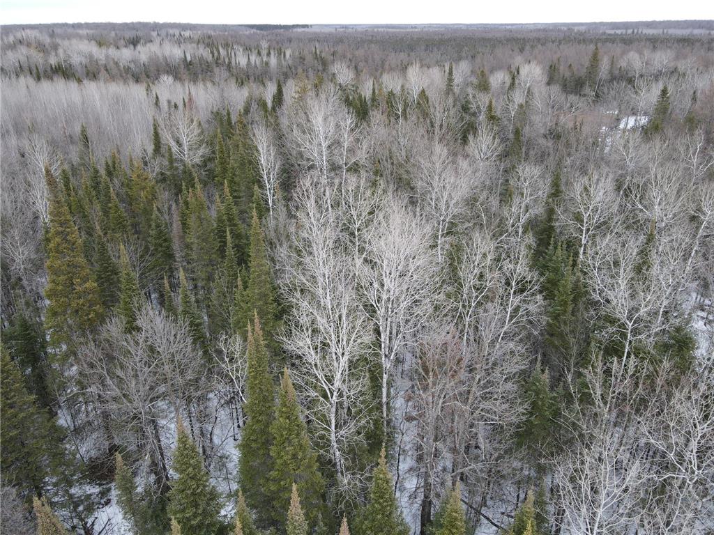 86469 Nature Road Butternut WI 54514 6671677 image29