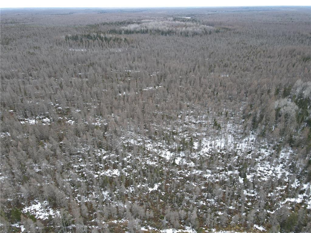 86469 Nature Road Butternut WI 54514 6671677 image30