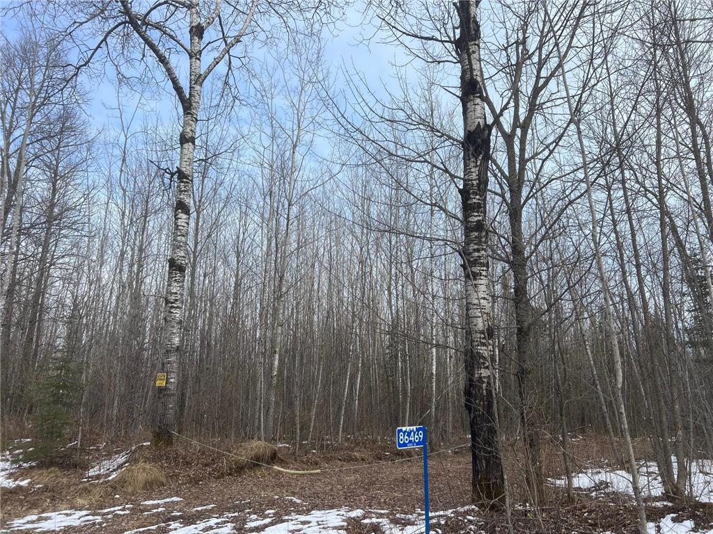 86469 Nature Road Butternut WI 54514 6671677 image4