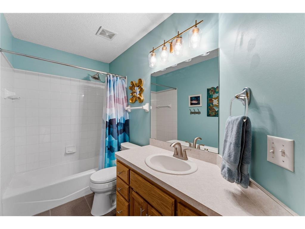8649 Alisa Lane Chanhassen MN 55317 7087291 image22