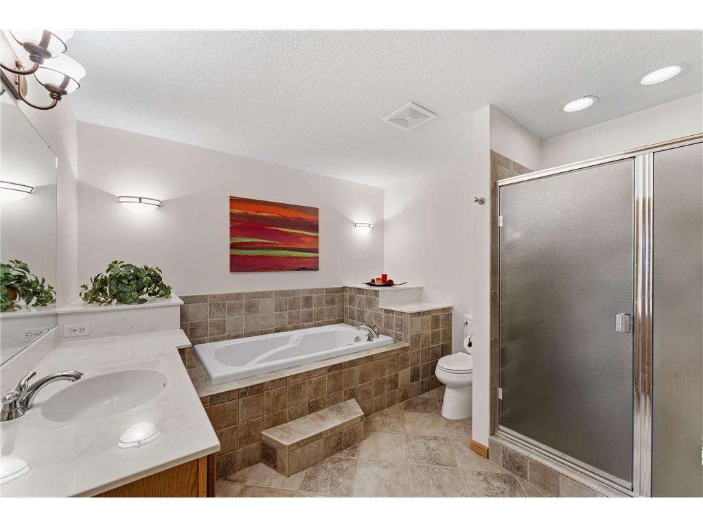 8649 Alisa Lane Chanhassen MN 55317 7087291 image31