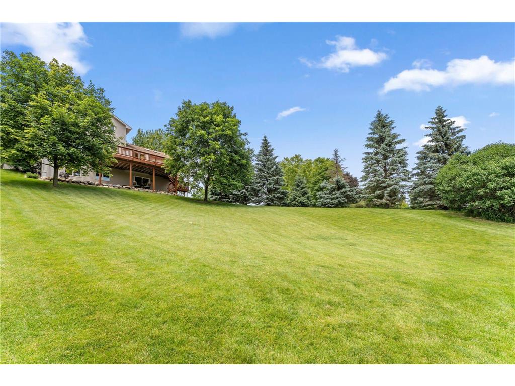 8649 Alisa Lane Chanhassen MN 55317 7087291 image34