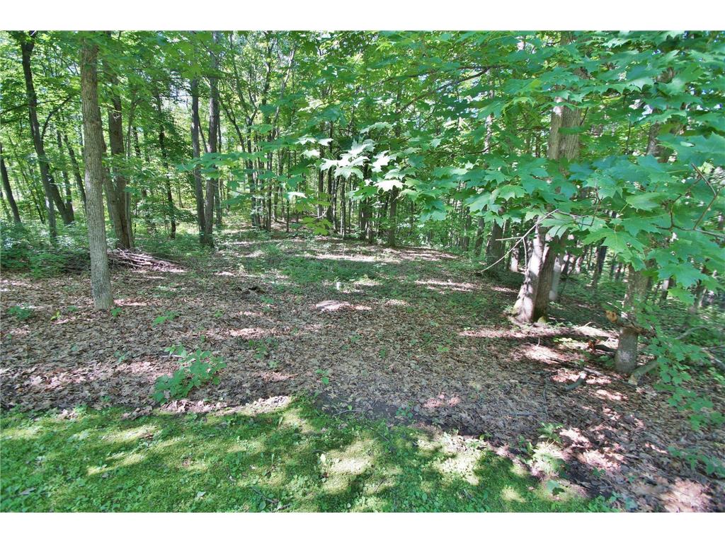 8654 N Ochu Road Bass Lake Twp WI 54843 7077558 image31