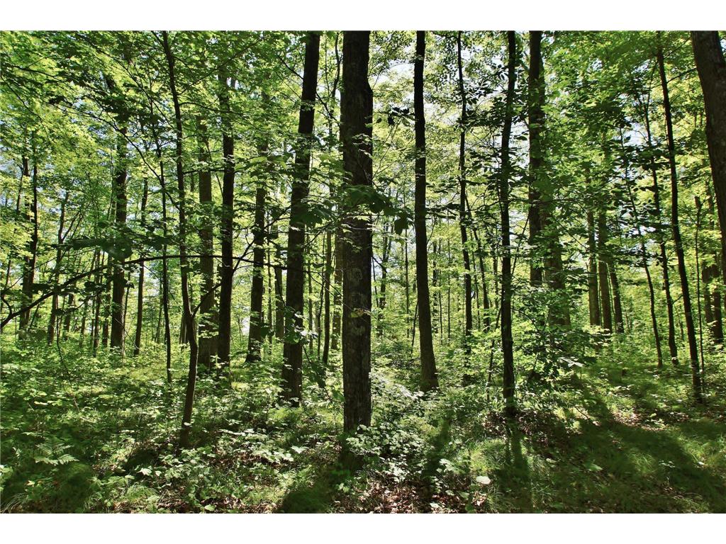 8654 N Ochu Road Bass Lake Twp WI 54843 7077558 image4