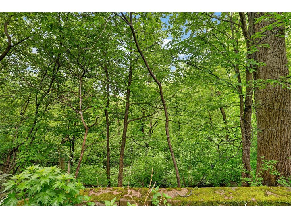 8655 Hunters Way Apple Valley MN 55124 7069873 image68