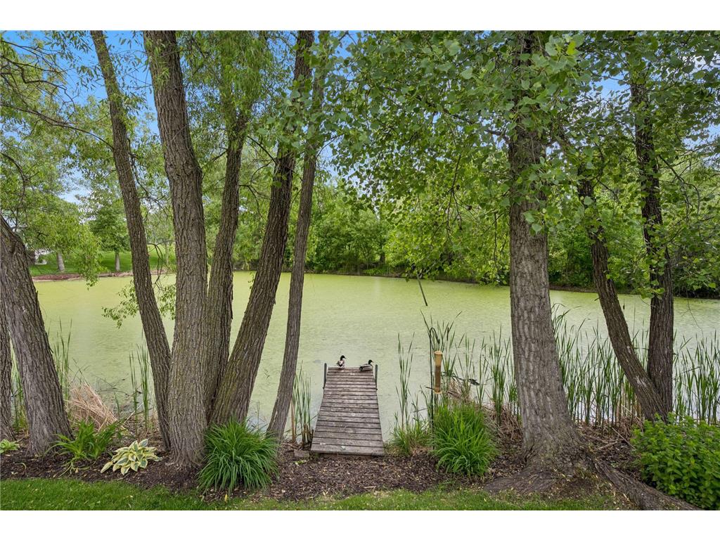 8657 Elk Avenue Monticello MN 55362 7073538 image53