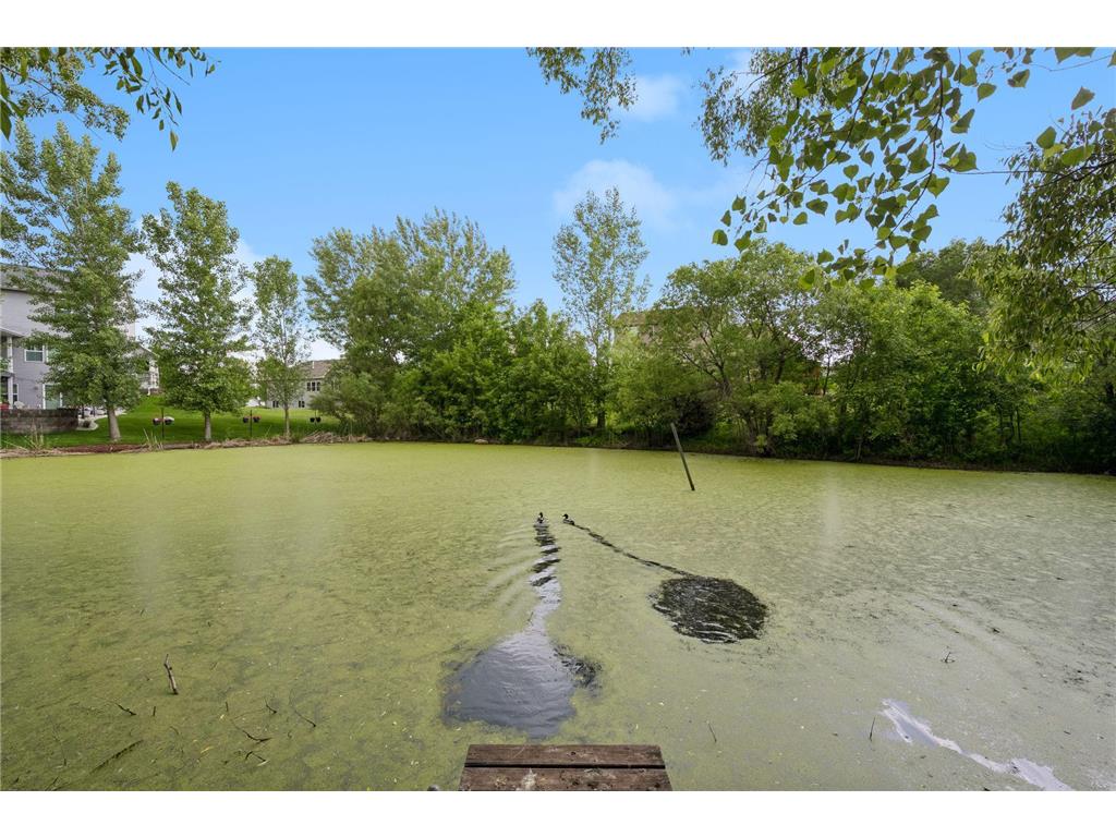 8657 Elk Avenue Monticello MN 55362 7073538 image54