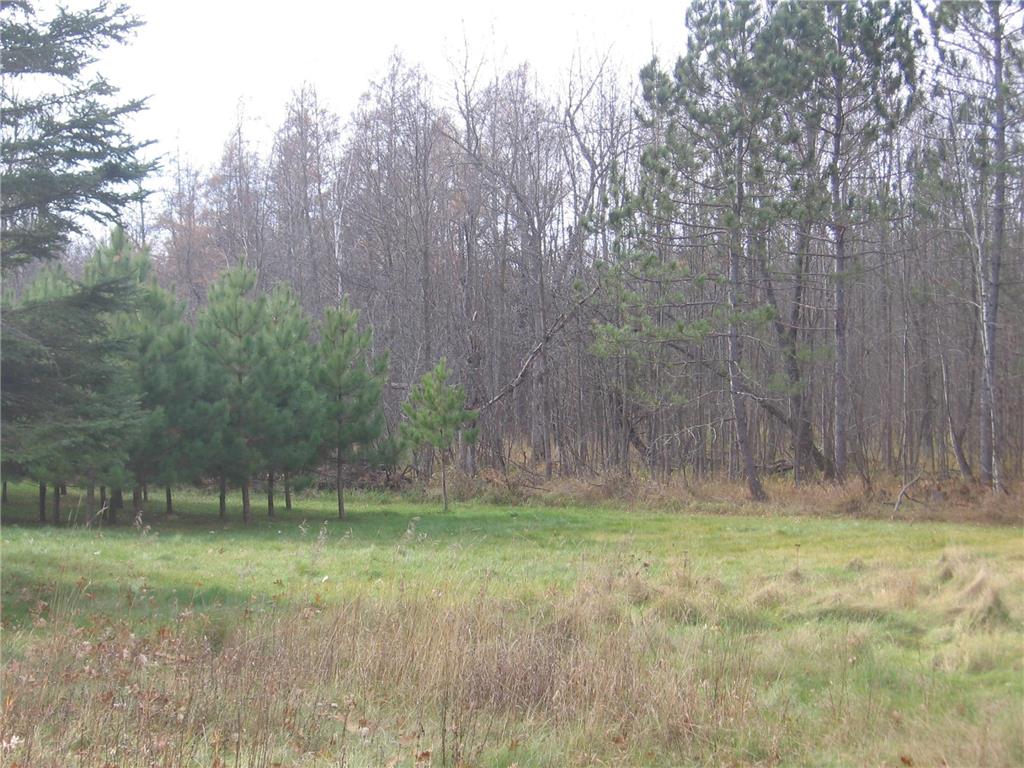 8659 22nd Avenue NE Boy Lake Twp MN 56672 6306385 image1