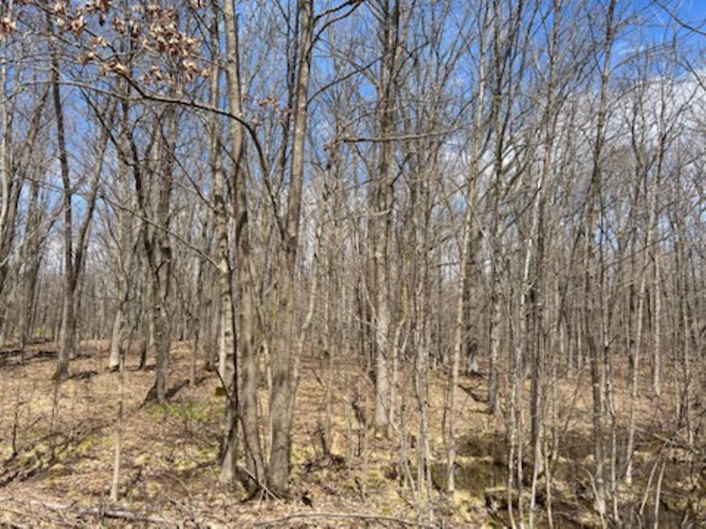 866 29th Avenue Lakeland Twp WI 54813 6366203 image1