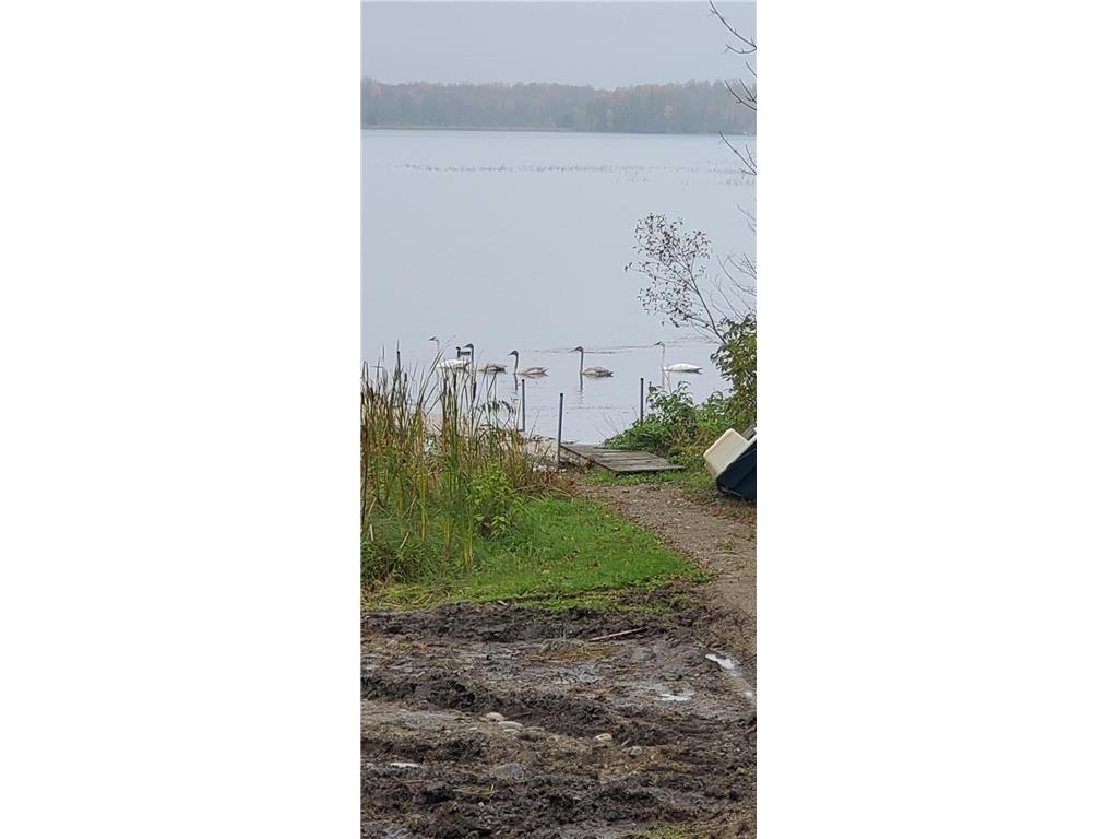 8661 Fs 2721 Road NE Remer MN 56672 - Sugar 7051323 image48