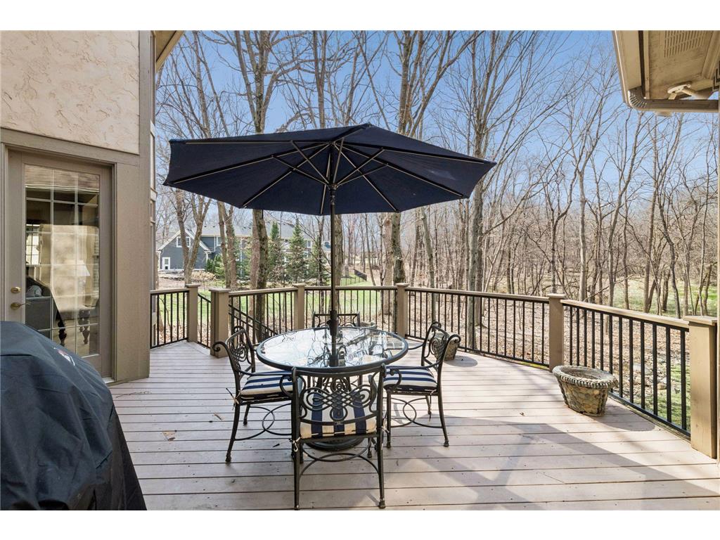 8662 Great Waters Alcove Eden Prairie MN 55347 7046429 image64