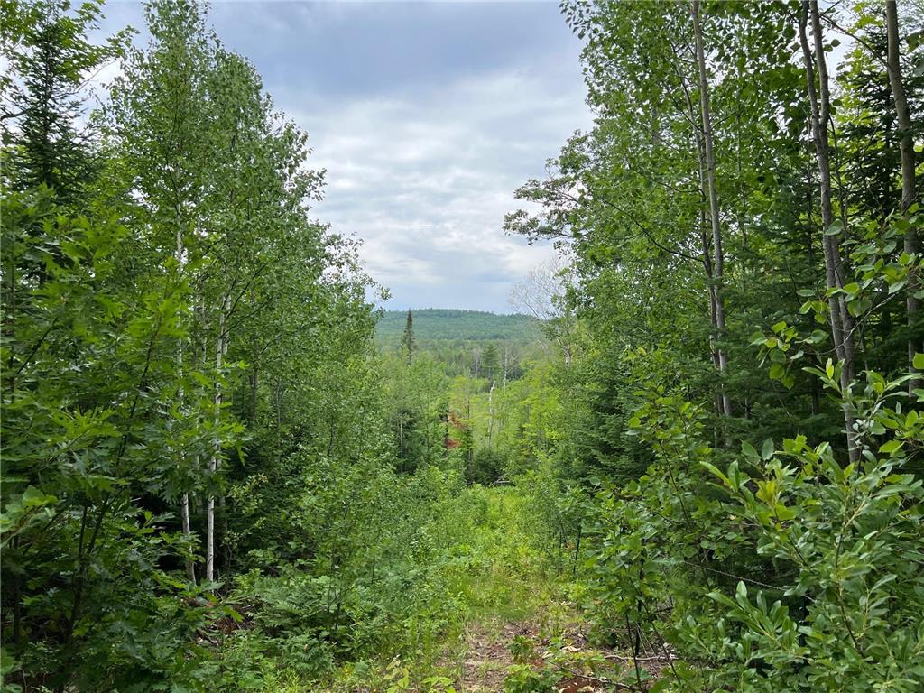 86640 N South Pratt Road Bayfield WI 54814 - Sand River 7005858 image3