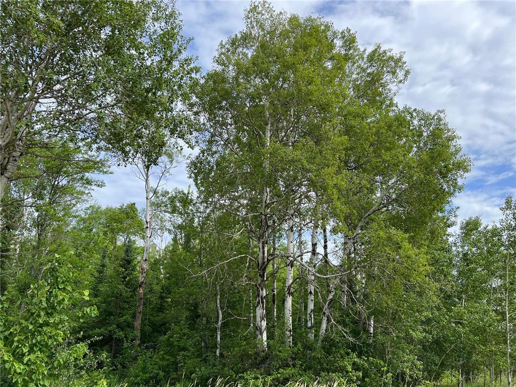 86640 N South Pratt Road Bayfield WI 54814 - Sand River 7005858 image35