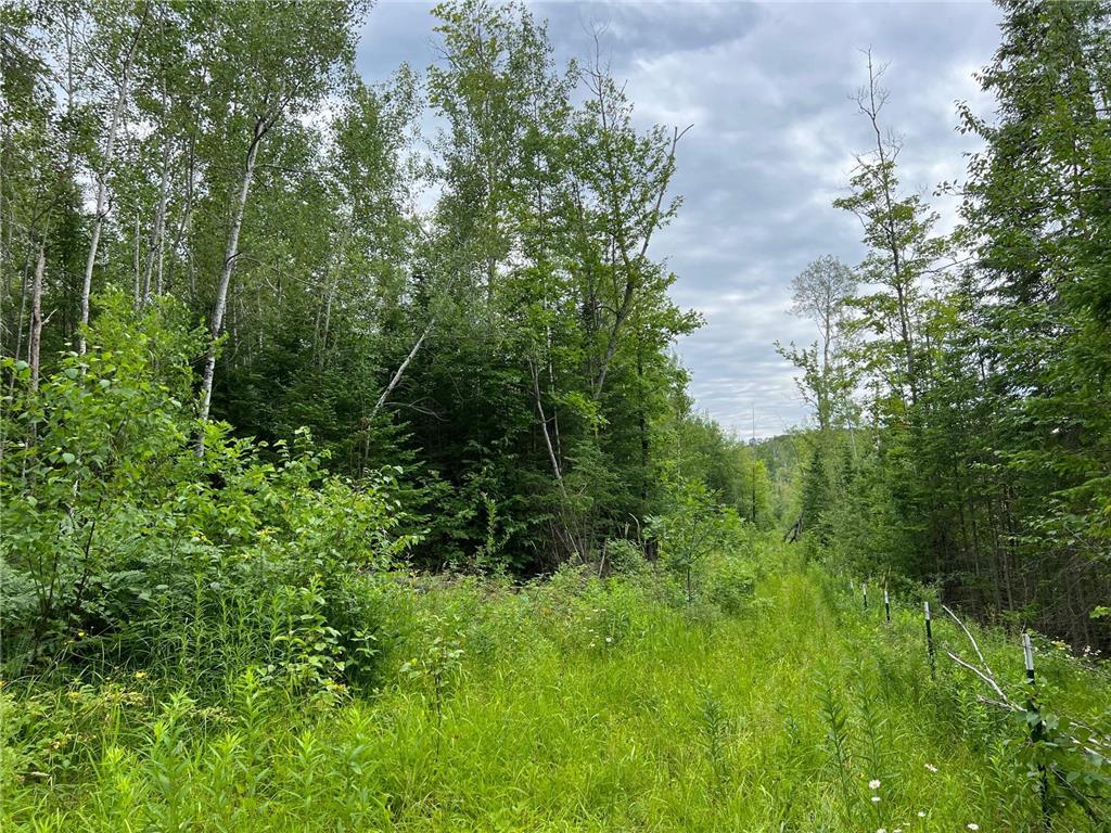 86640 N South Pratt Road Bayfield WI 54814 - Sand River 7005858 image42