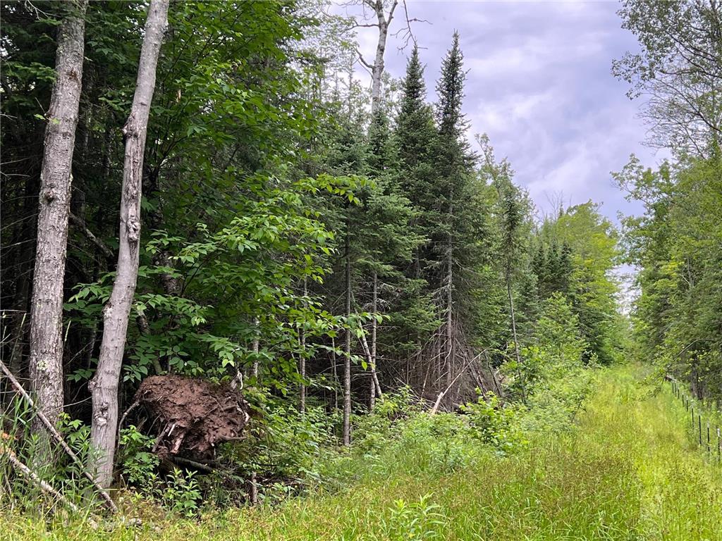 86640 N South Pratt Road Bayfield WI 54814 - Sand River 7005858 image43