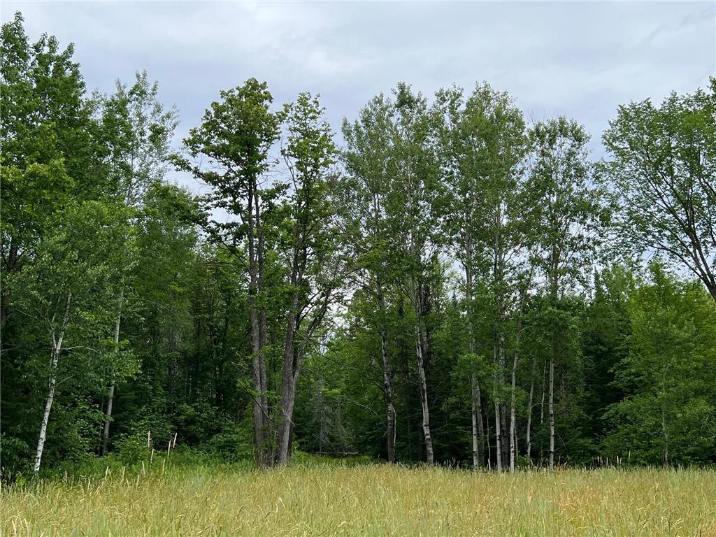 86640 N South Pratt Road Bayfield WI 54814 - Sand River 7005858 image44