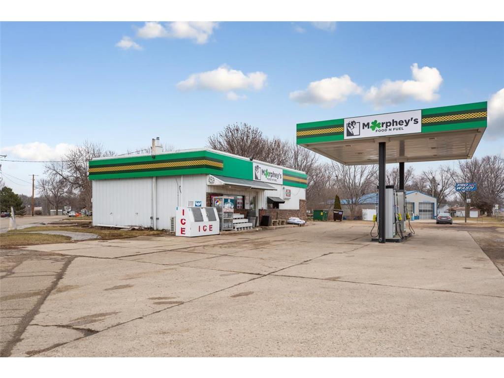 867 State Highway 22 Minnesota Lake MN 56068 6482612 image1