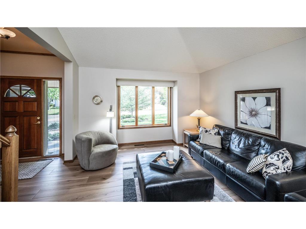 868 Basswood Lane Eagan MN 55123 7076511 image11