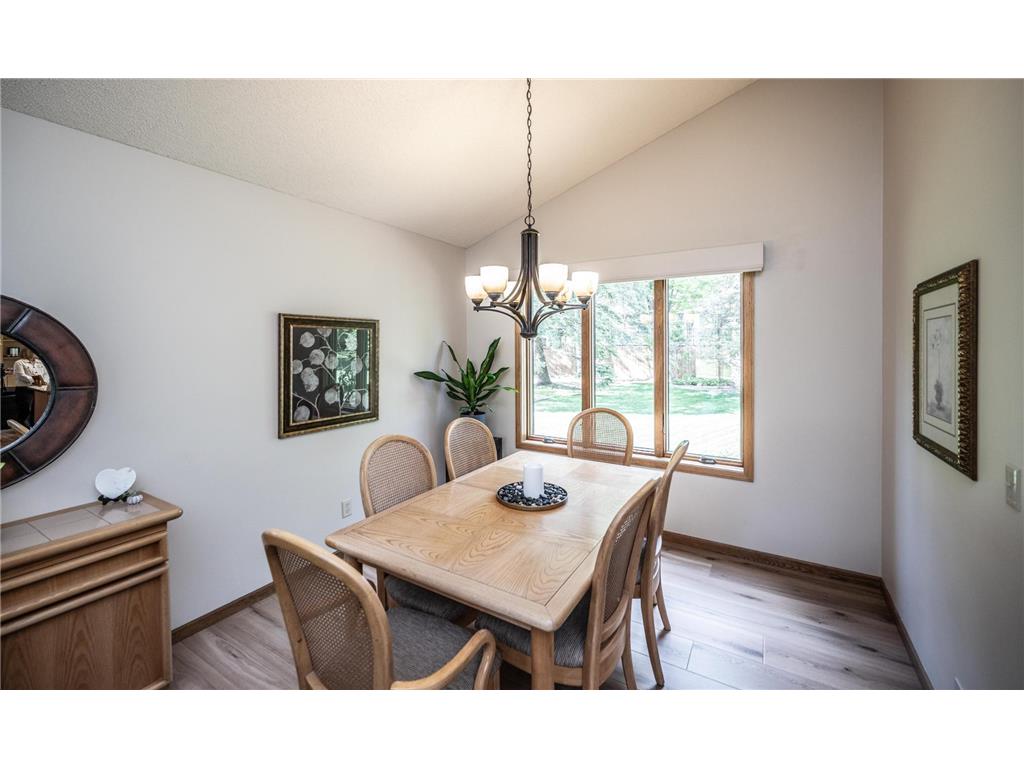 868 Basswood Lane Eagan MN 55123 7076511 image13