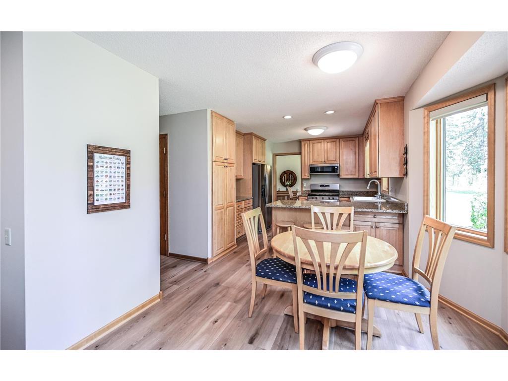 868 Basswood Lane Eagan MN 55123 7076511 image16