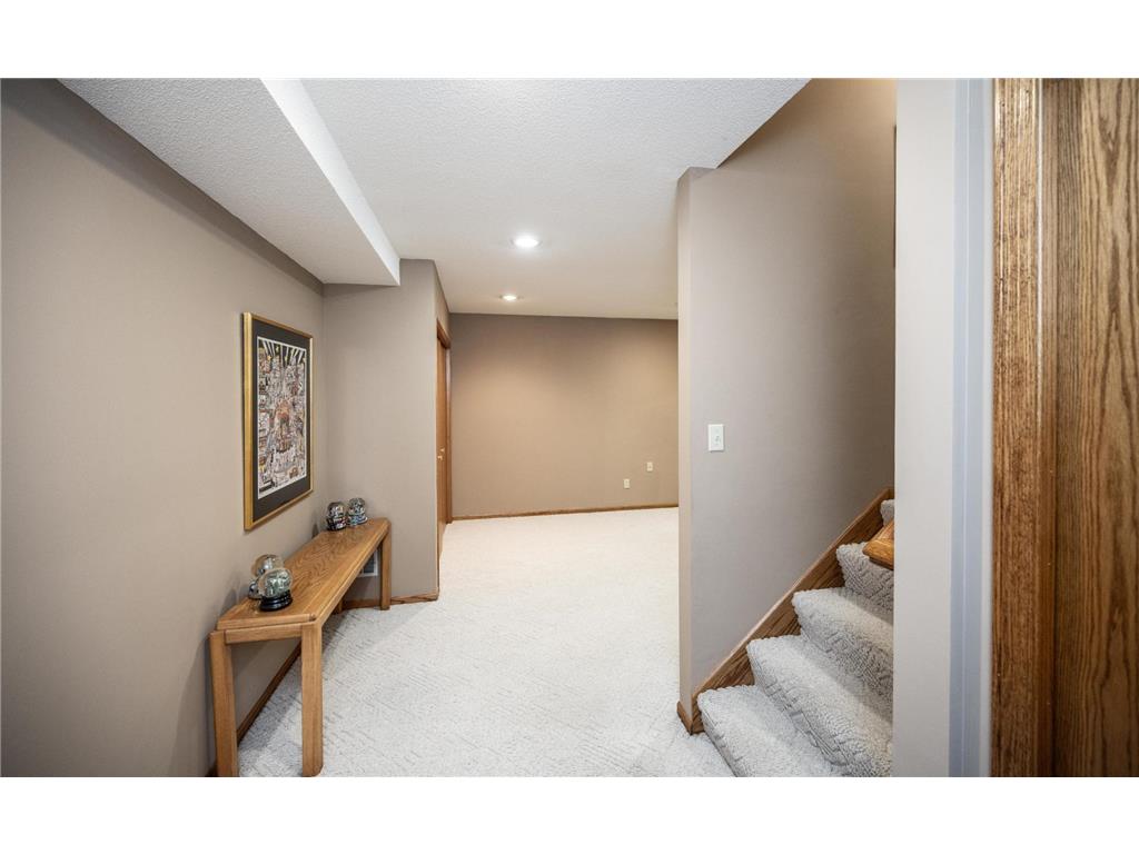 868 Basswood Lane Eagan MN 55123 7076511 image36
