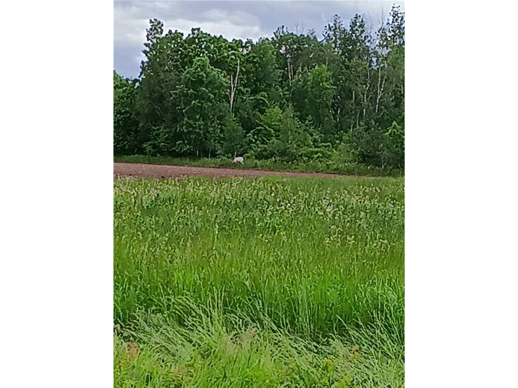 8686 340th Street Onamia Twp MN 56359 7109880 image32