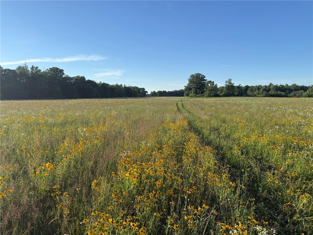 8686 340th Street Onamia Twp MN 56359 7109880 image34