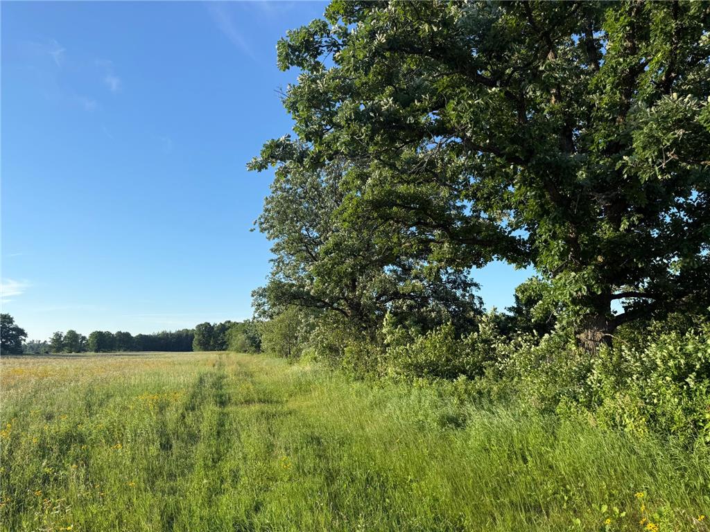 8686 340th Street Onamia Twp MN 56359 7109880 image35