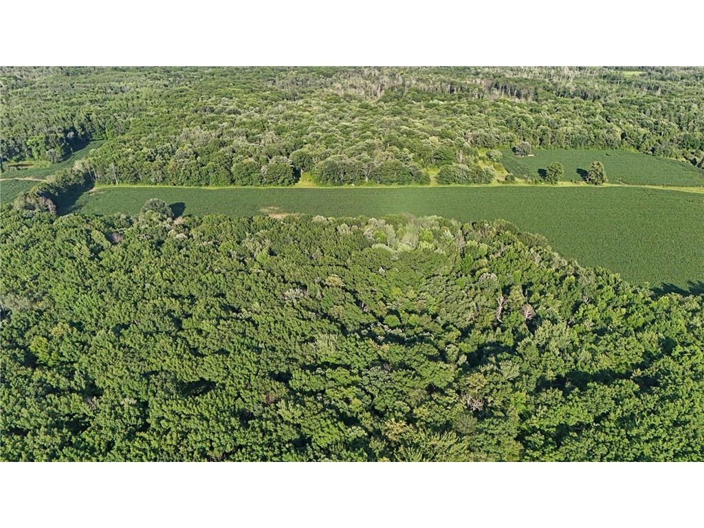 8686 340th Street Onamia Twp MN 56359 7109880 image37