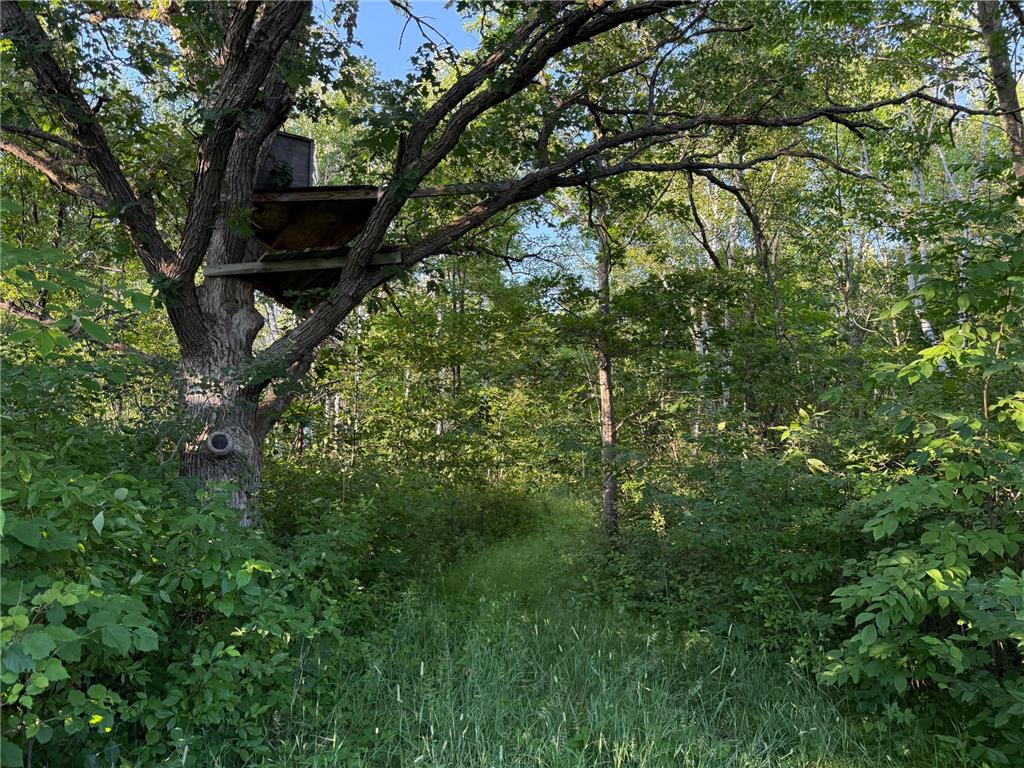 8686 340th Street Onamia Twp MN 56359 7109880 image44