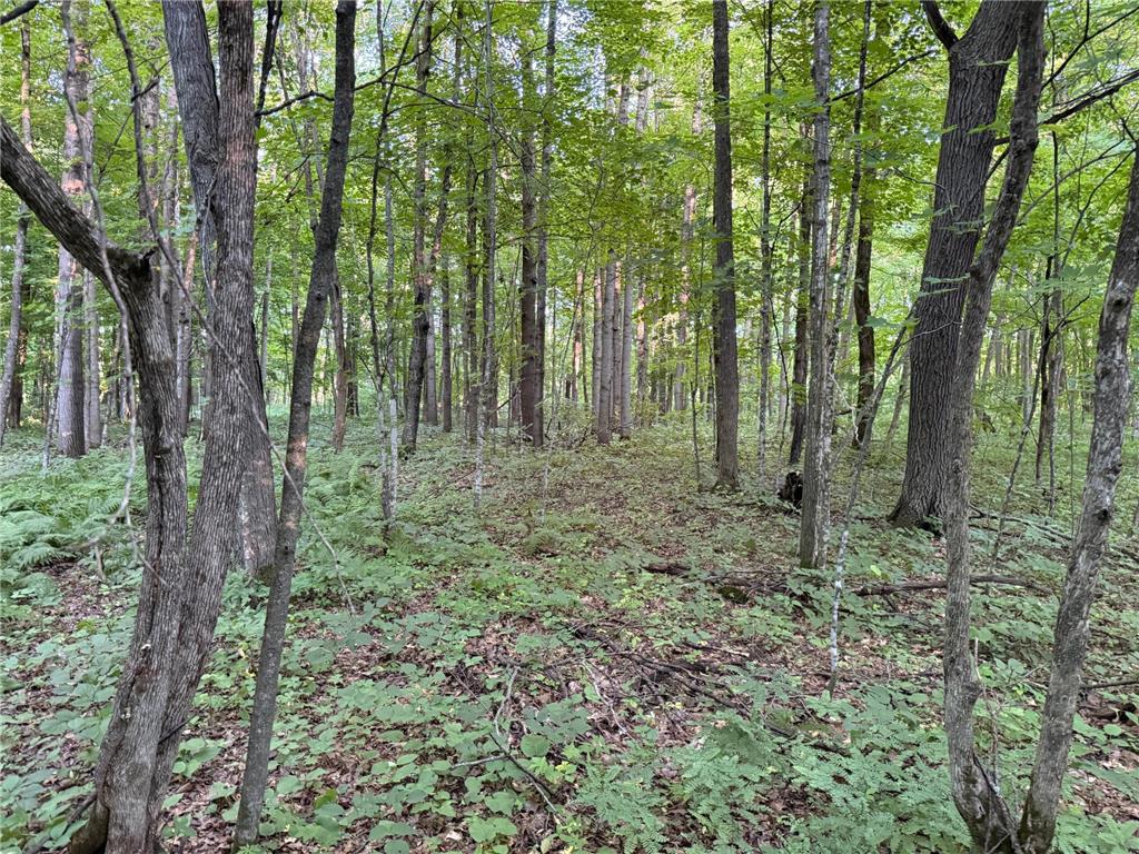 8686 340th Street Onamia Twp MN 56359 7109880 image47