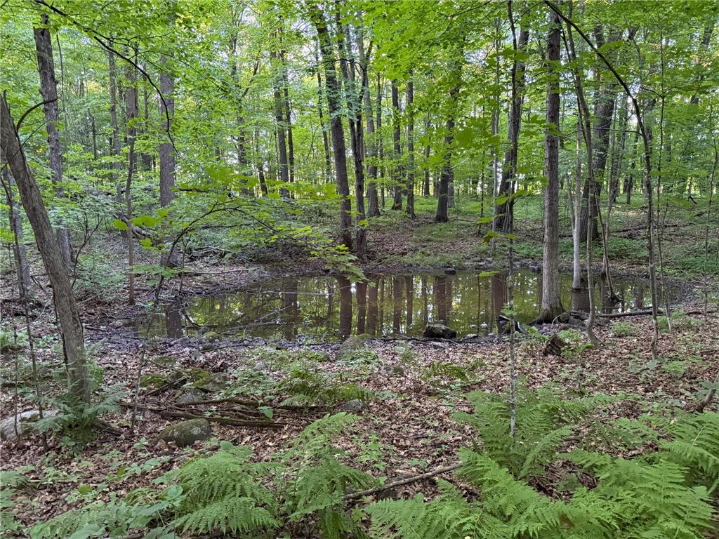 8686 340th Street Onamia Twp MN 56359 7109880 image49