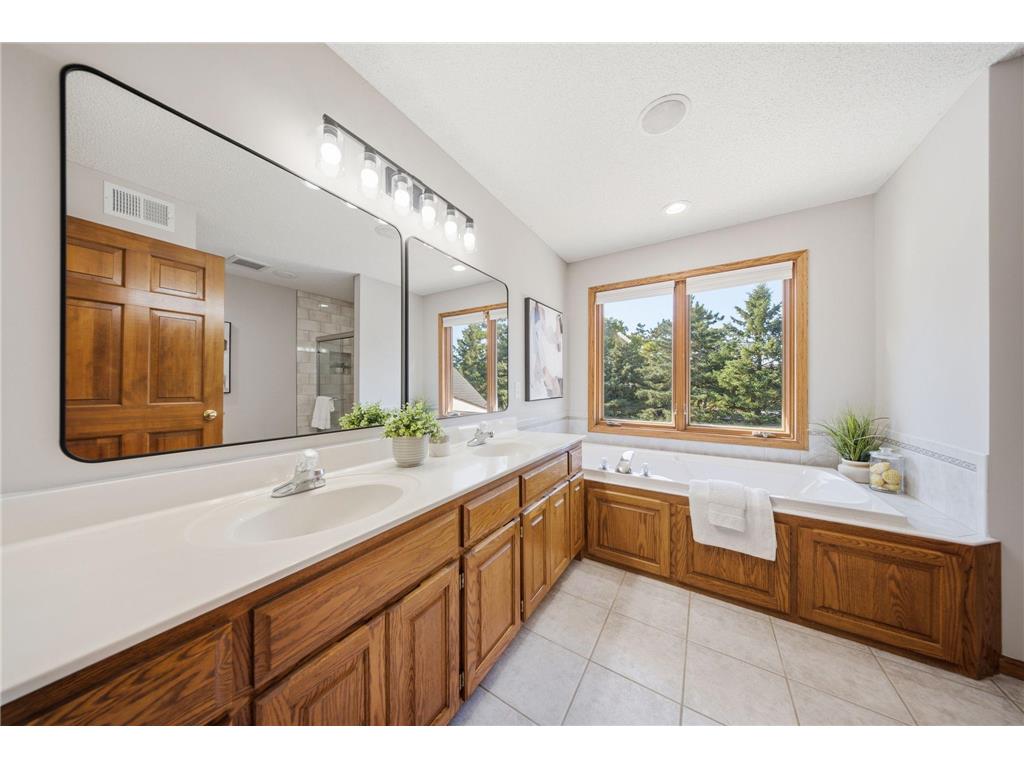 869 Mendakota Court Mendota Heights MN 55120 - Rogers Lake 7062441 image27