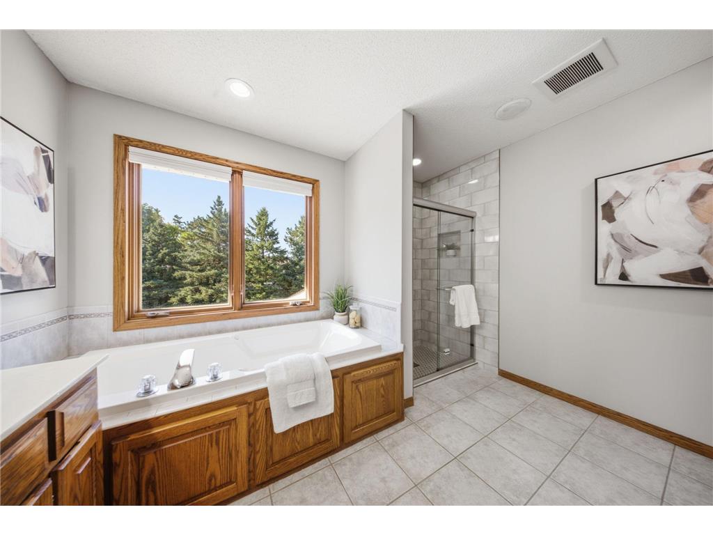 869 Mendakota Court Mendota Heights MN 55120 - Rogers Lake 7062441 image28
