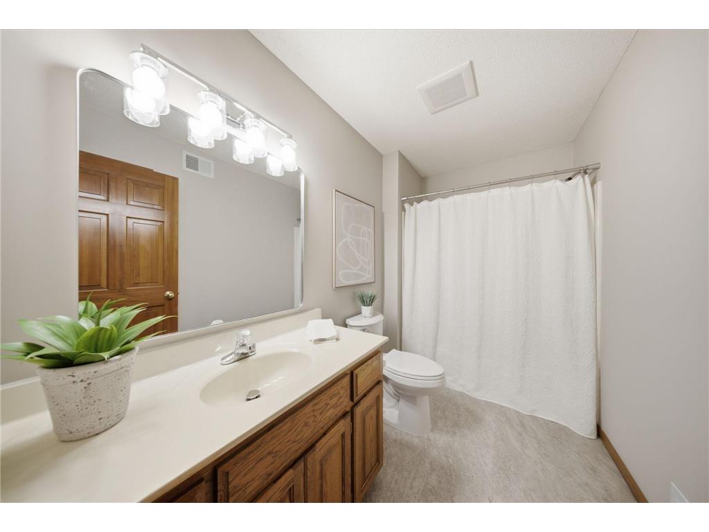 869 Mendakota Court Mendota Heights MN 55120 - Rogers Lake 7062441 image37