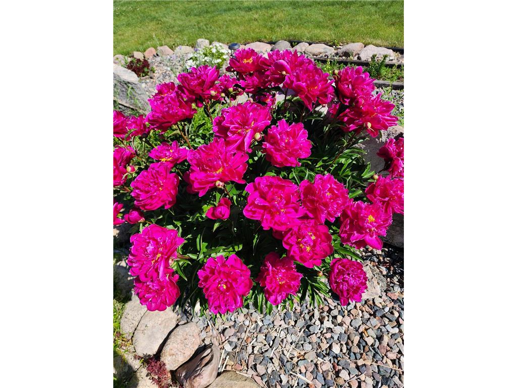 8695 Dosh Lane Saint Mathias Twp MN 56449 6794600 image50