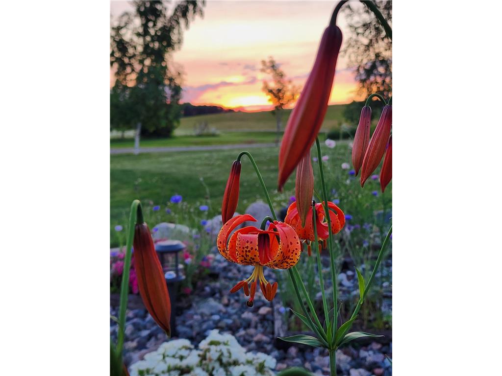 8695 Dosh Lane Saint Mathias Twp MN 56449 6794600 image51