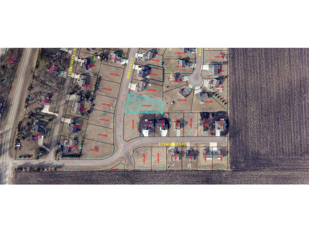 87 Balsam Lane Madison Lake MN 56063 6350164 image1